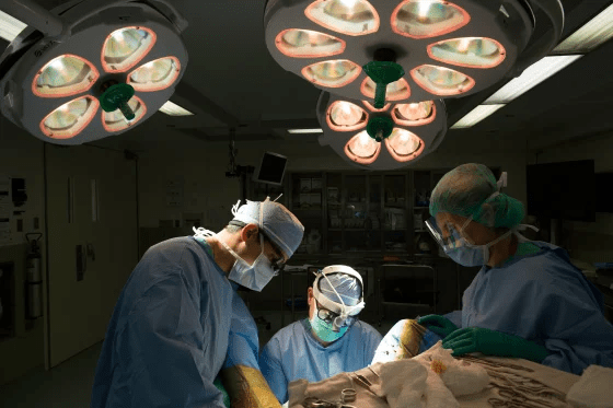 The Need for a Universal Minimum Age for Gender-Affirming Surgery